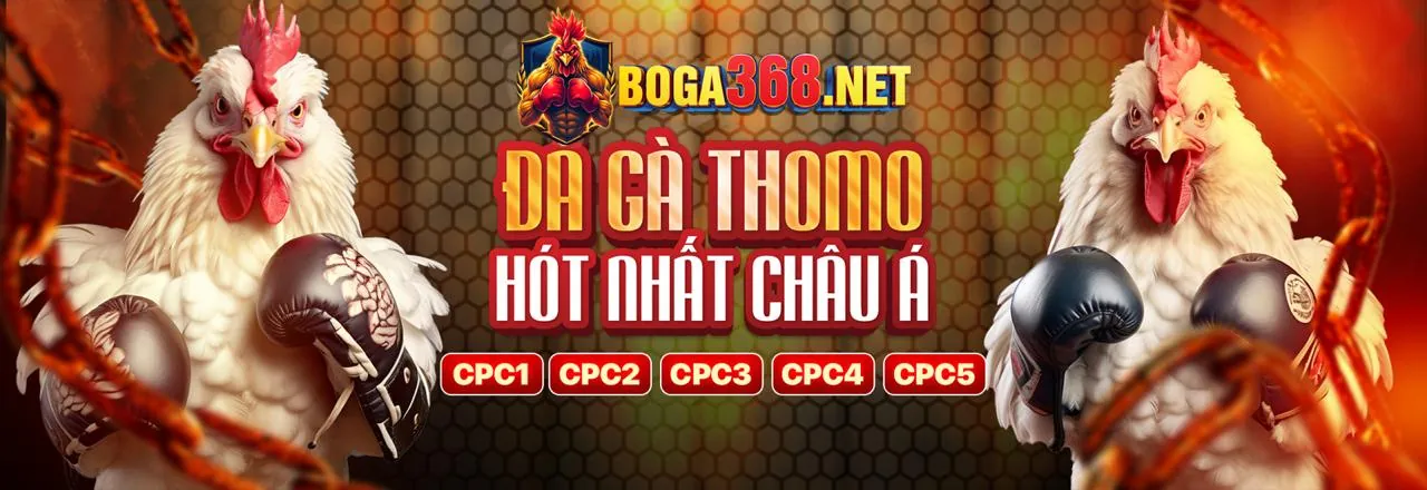 Đá Gà Trực Tuyến 89bet4 Đăng Ký